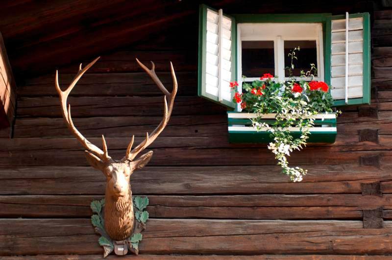 Hotel Gasthof Markterwirt Altenmarkt im Pongau Eksteriør bilde